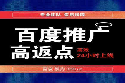 行业领先企业的SEM开户成功案例